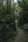 Karori 12 - Faultline track