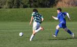 Marist Vs Petone Chicago