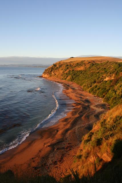 168 - Bushy Beach, Oamaru