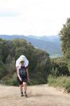 Kaitoke 03 - Norbett Creek Loop track