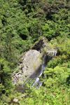 Otaki Forks 34 - Historic Arcus Dam walk