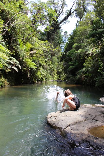 Coromandel 2019 037 - Waiau River, Rd 309