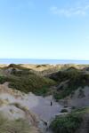 Jeff 40 ans 03 - Sand dunes in Foxton Beach