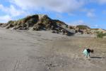 Jeff 40 ans 04 - Sand dunes in Foxton Beach