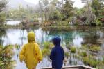 Golden Bay 59 - Te Waikoropupu springs