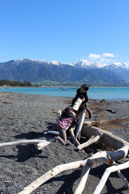 Kaikoura 26 - Kaikoura Beach