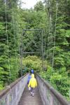 036 Te Anau - Swingbridge over the Waiau River