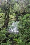 148 Catlins - Lower Waipohatu Falls - Punehu Falls