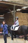 Masterton 12 - Horse riding in Longbush