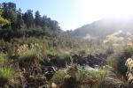 Tutuwai Hut 28 - Tauherenikau river