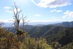 Aorangi Crossing - 15 - View towards Lake Wairarapa