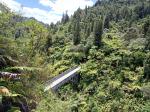 Whanganui River 12 - Bridge to Nowhere