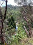 Whanganui River 13 - Mangapurua Stream