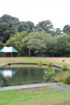 072 - Turangi - National Trout Centre