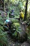 Tutuwai 14 - Hole crossing